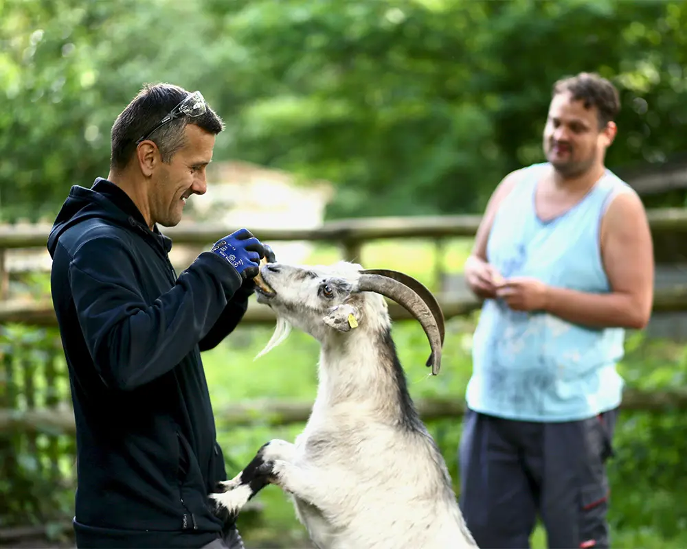 Ein Betreuer der Tagesstätte füttert eine auf den Hinterbeinen stehende Ziege und ein Bewohner freut sich darüber.